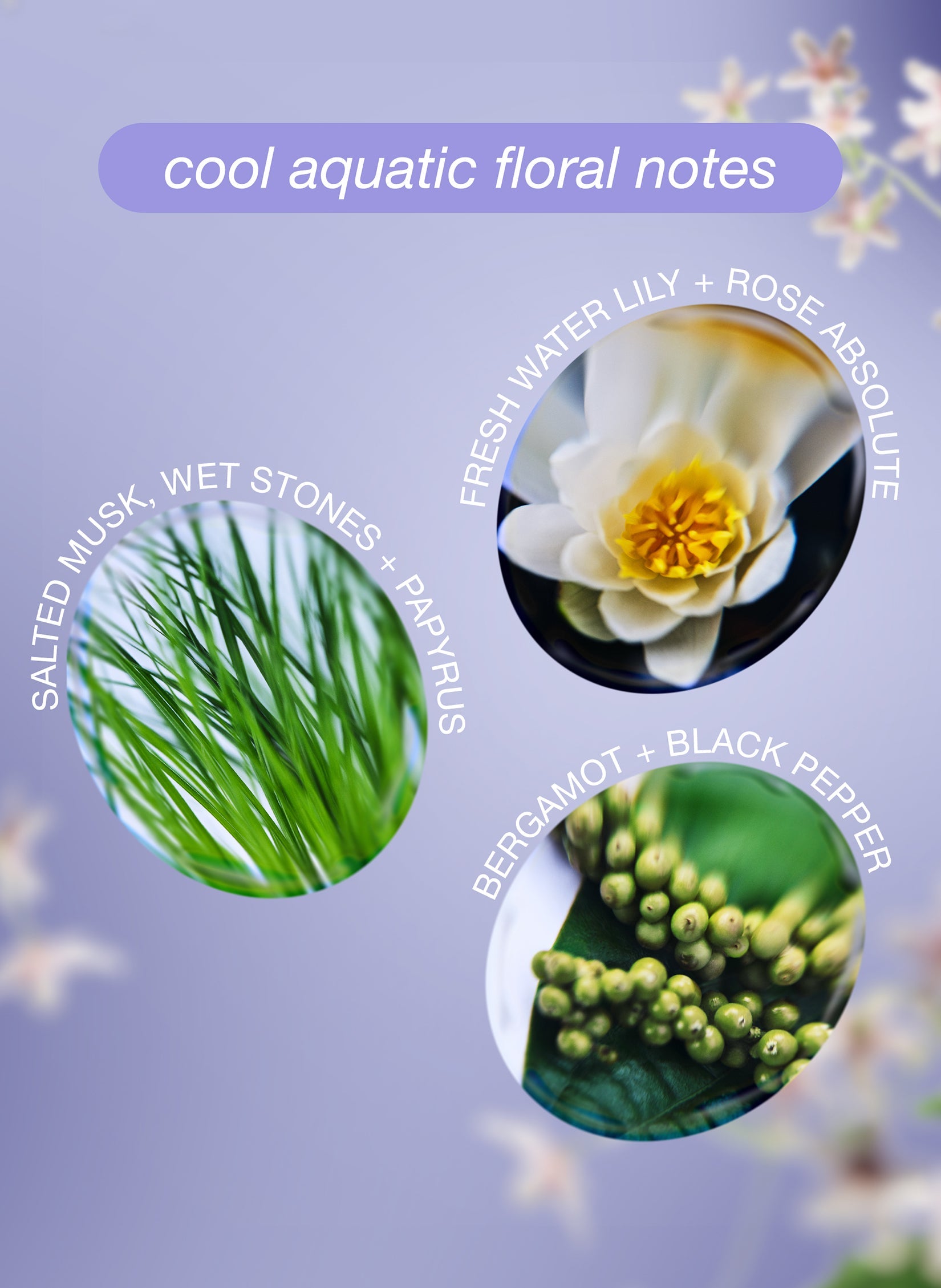 K18 x Future Society Limited Edition Scent Mask