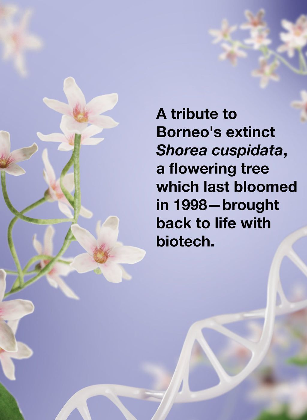 K18 x Future Society Limited Edition Scent Mask